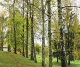 Осень в монастыре