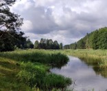 Палаточный лагерь на берегу реки Свольна