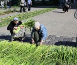 Подготовка праздничной дорожки