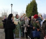 Праздник Входа Господня в Иерусалим