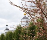 Праздник в честь иконы Божией Матери Живоносный Источник