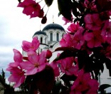 Июль 2009 года