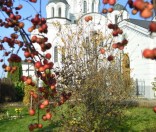 Осень в монастыре