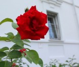  День ангела игумении Евдокии
