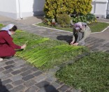 Подготовка праздничной дорожки