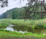 Поход воскресной школы в «Красный Бор»