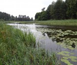 Утром