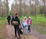 В лесу