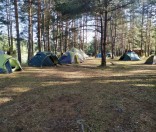 Утром