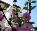 Май 2009 года