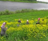Торжества праздника преподобной  Евфросинии разделили с сестрами обители воспитанники монастырской Воскресной школы