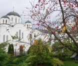 Осень в монастыре