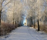 Посеребрил январь березы. 2009 год