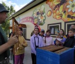 Экскурсия на пасеку
