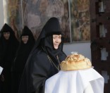 Встреча владыки Феодосия