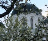 Весна в монастыре