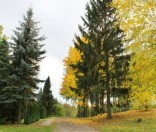 Осень в монастыре