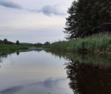 Поход воскресной школы в «Красный Бор»