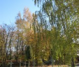Золотая осень