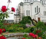 Пруд. Июль 2009 года