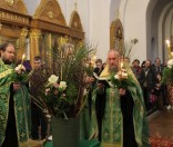 Праздник Входа Господня в Иерусалим