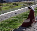 Подготовка праздничной дорожки