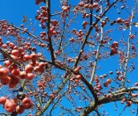 Осень в Полоцкой обители