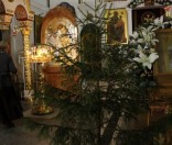 Рождество Христово в Спасо-Евфросиниевском монастыре
