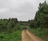 По дороге на озеро