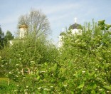 Благоухающий май