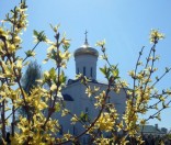 Апрель 2009 года