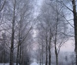 Дорога в монастырский сад