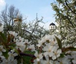 Цветет обитель Спаса. Май 2009 года