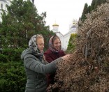 На послушании