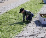 Подготовка праздничной дорожки