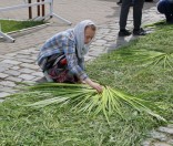 Подготовка праздничной дорожки