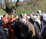 Праздник в честь иконы Божией Матери Живоносный Источник