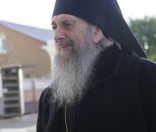 Встреча владыки Феодосия
