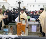Крещение Господне в Спасо-Евфросиниевской обители. Фото Авласенко В. Г.