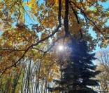 Осень в Полоцкой обители