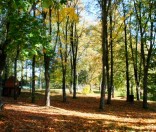 Осень в монастыре