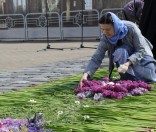 Украшение праздничной дорожки