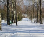 Рождество Христово в Полоцком Спасо-Евфросиниевском женском монастыре