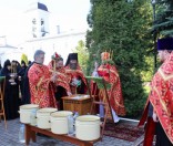Праздник в честь иконы Божией Матери Живоносный Источник