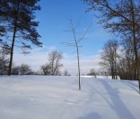 Зима в монастыре