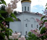 Июнь 2009 года