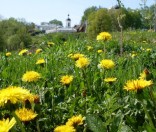 Май 2009 года