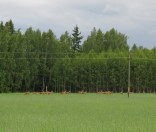 Вольеры