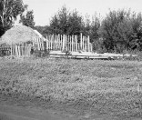 Место захоренения Ольги Семеновны и Карла Карловича Боянусов