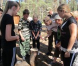 конкурс быстрого забивания гвоздей